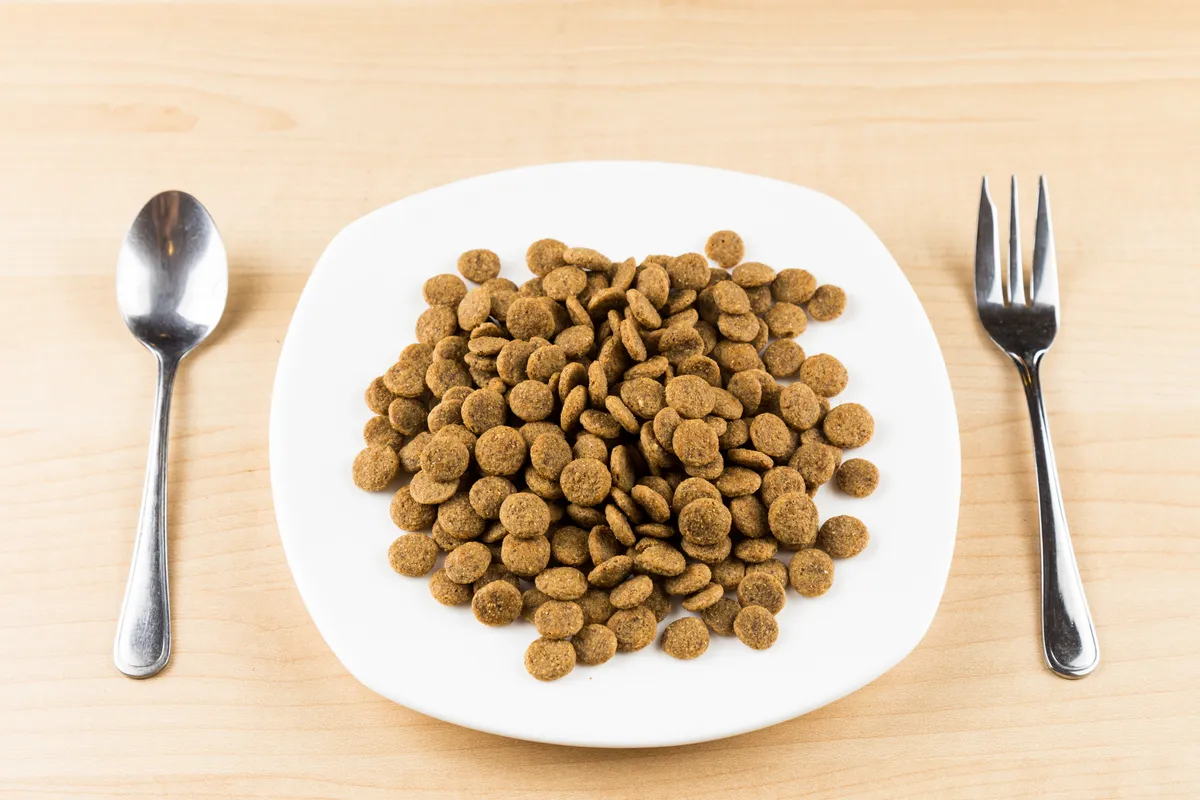 Croquettes sans céréales : optez pour une alimentation saine pour vos animaux
